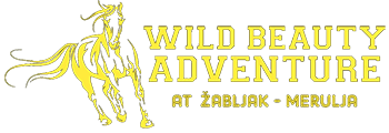 Wild Beauty Adventure